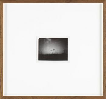 Thora Dolven Balke, polaroid, 2010-2011.