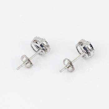 ÖRHÄNGEN, ett par, 18K vitguld med rundslipade safirer ca 0,61 ct och små diamanter. Vikt ca 1,60 g.