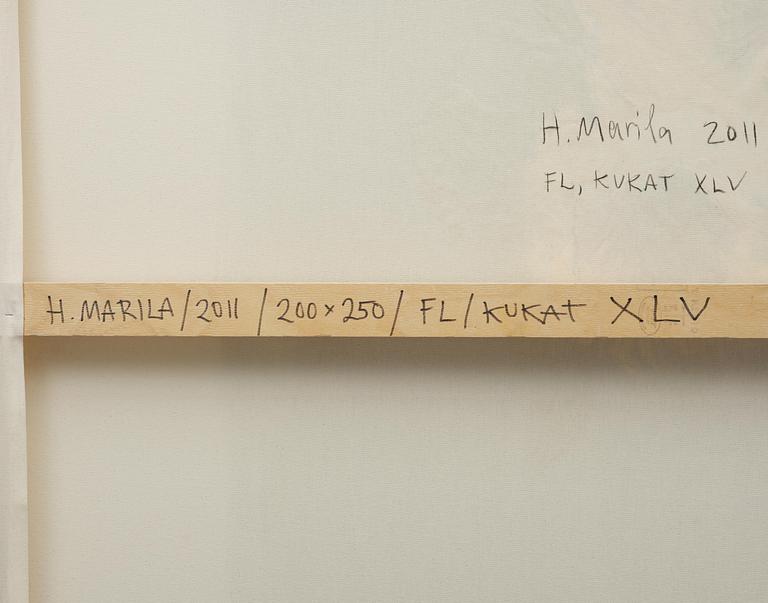 Heikki Marila, "Flowers XLV".