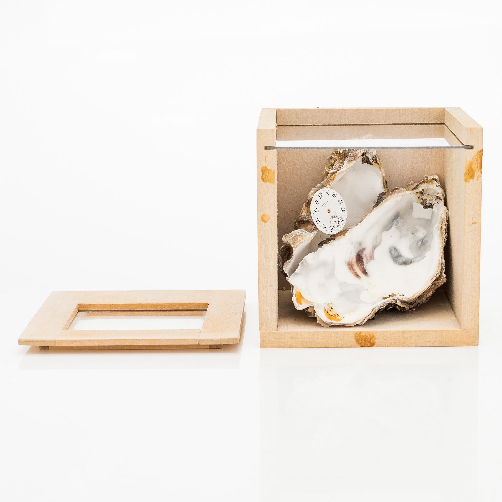 Juhani Harri, Tidsbox.