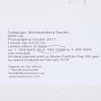 HENRIK BONNEVIER, C-print. Signed and dated 2018. Numbered 2/3.