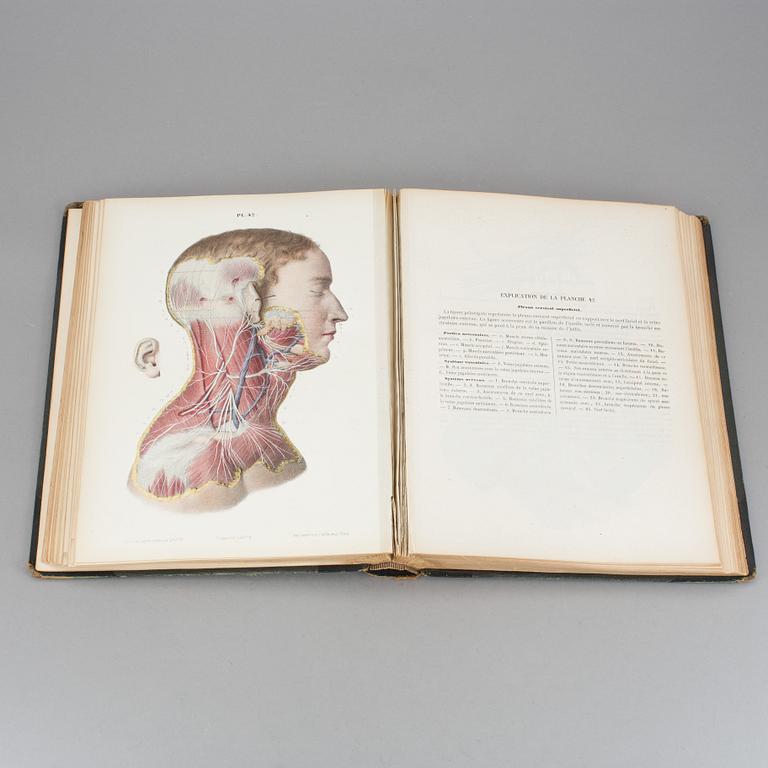 ATLAS, "Systeme Nerveux", Ludovic Hirschfeld, Victor Masson et Fils,  Paris, 1866.