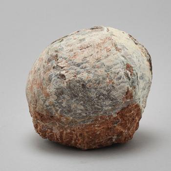 DINOSAURIEÄGG, fossil.
