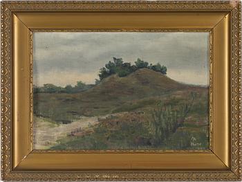 Okänd konstnär, 1900, tal, Hedlandskap.