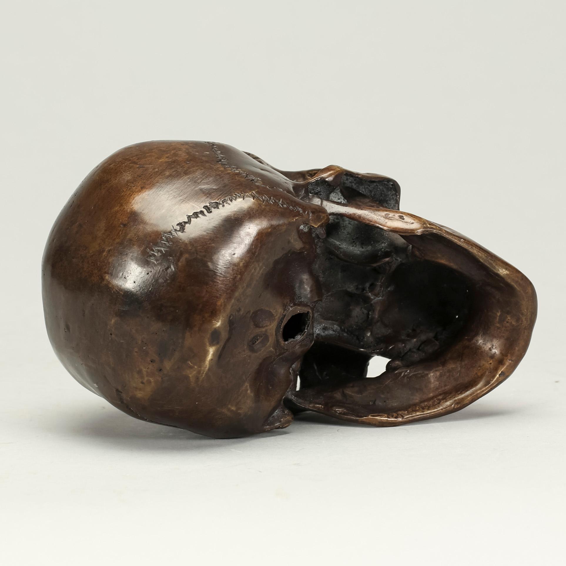 KRANIUM, metall, modern tillverkning.