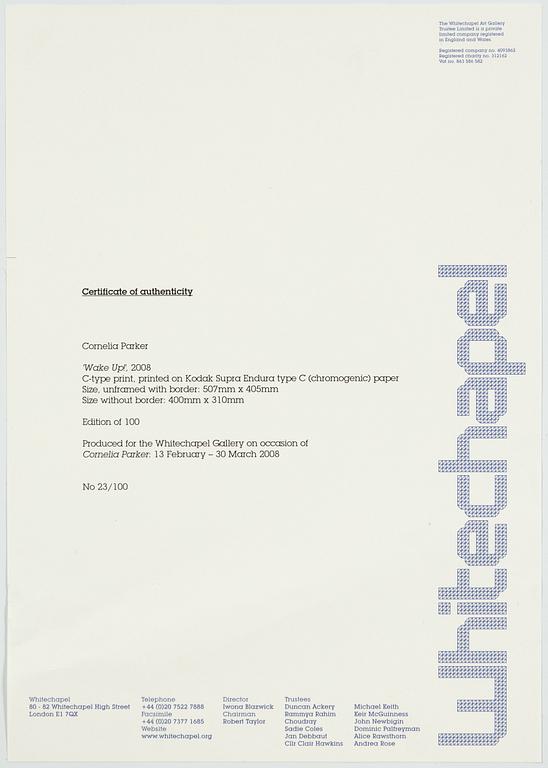 Cornelia Parker, "Wake up!", 2008.