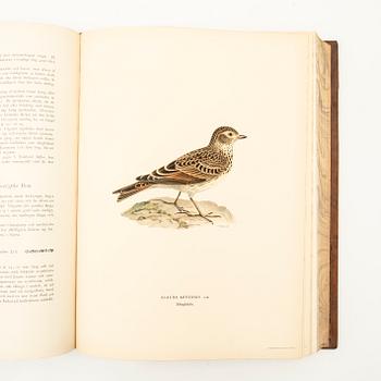 The Wright Brothers, book work, 3 volumes, "Swedish Birds", A. Börtzells tryckeri AB, Ivar Baarsen, Stockholm, 1927-1929.