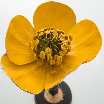 Robert Brendel, a botanical model, R. & R. Brendel. Poland, turn of the 20th century.