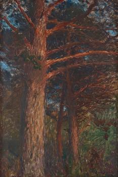 538. Bruno Liljefors, "Tallstammar" (Pine Trunks).