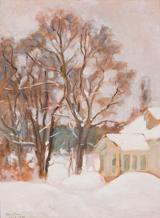 Axel Haartman, Winter View from Näse Mansion.