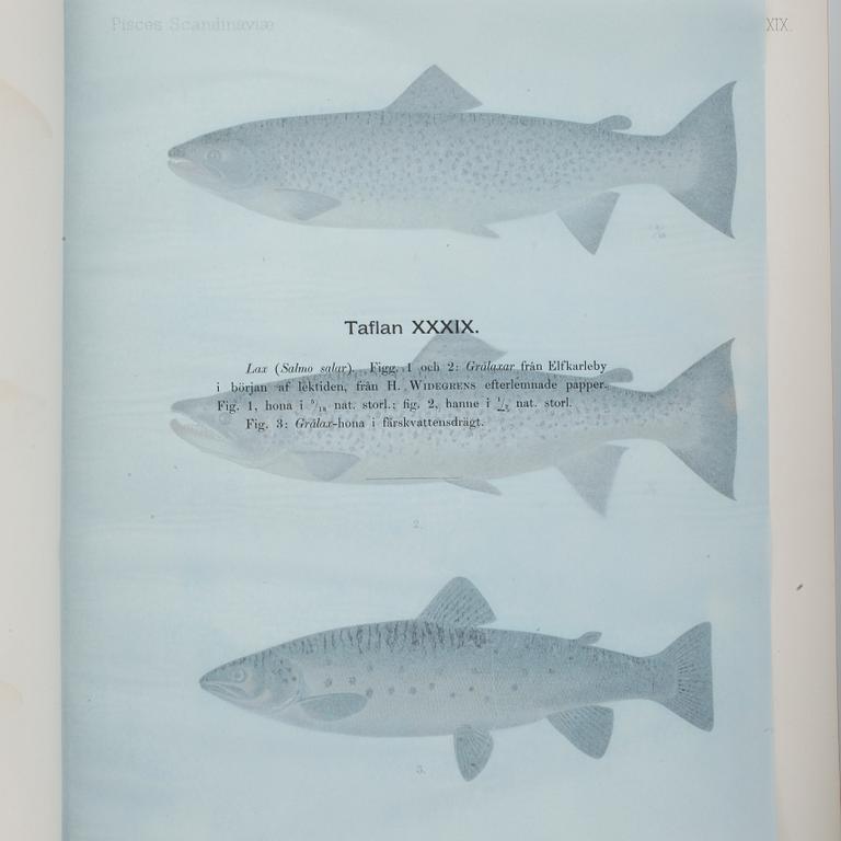 F.A.SMITT, 2 vol, Skandinaviens fiskar målade af W. von Wright, Taflor, Stockholm 1892-95.