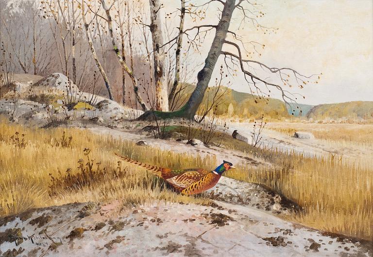 Ejnar Kohlmann, PHEASANT IN THE FOREST.