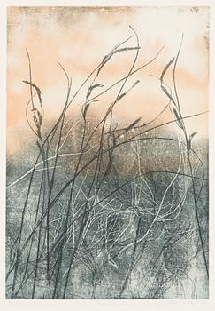 Johanna Koistinen, "Frost".