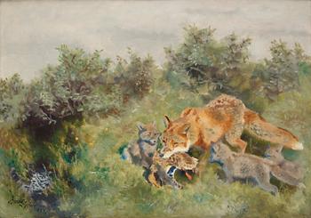 Bruno Liljefors, "Rävfamilj" (Fox family with prey).