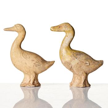 A pair of pottery figures of ducks, Tang dynasty (618-907).