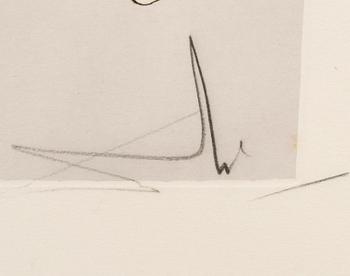 SALVADOR DALÍ, färgetsning med pochoir, signerad och numrerad 61/250.
