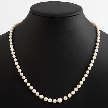 Pearl necklace with graduated cultured pearls, clasp silver.