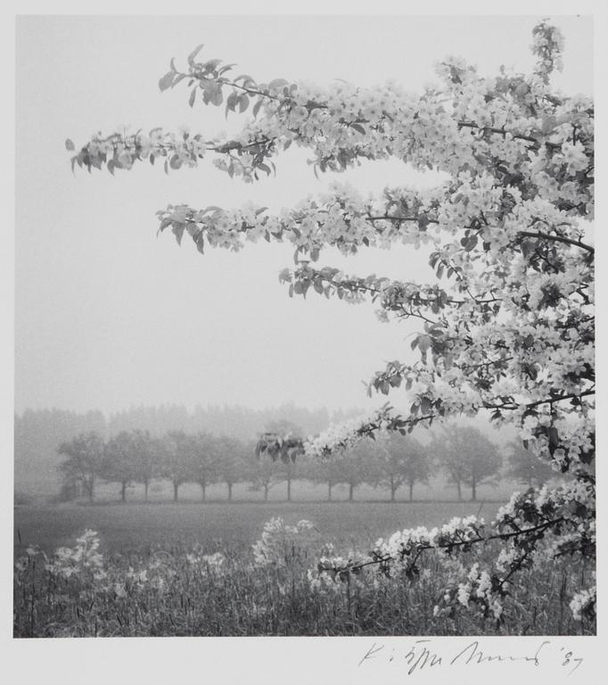 Kristoffer Albrecht, Untitled, 1989.