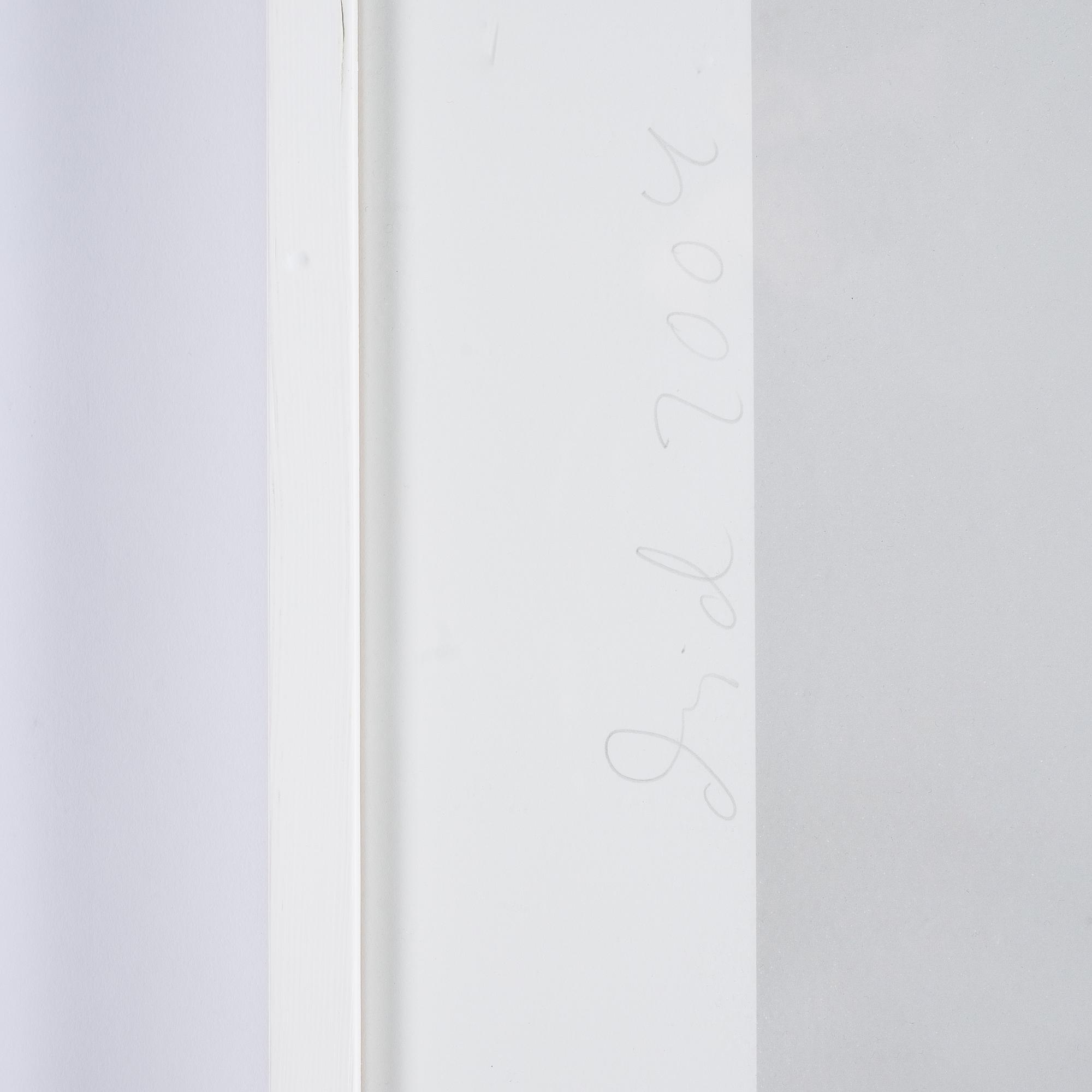 Dawid, pigment print, signed and dated 2004.