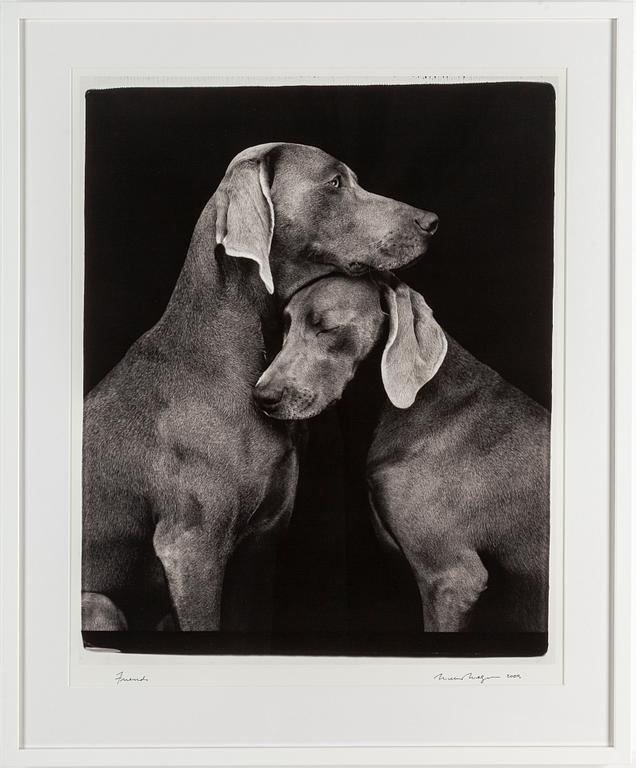 WILLIAM WEGMAN, photograph, signed and dated -09.