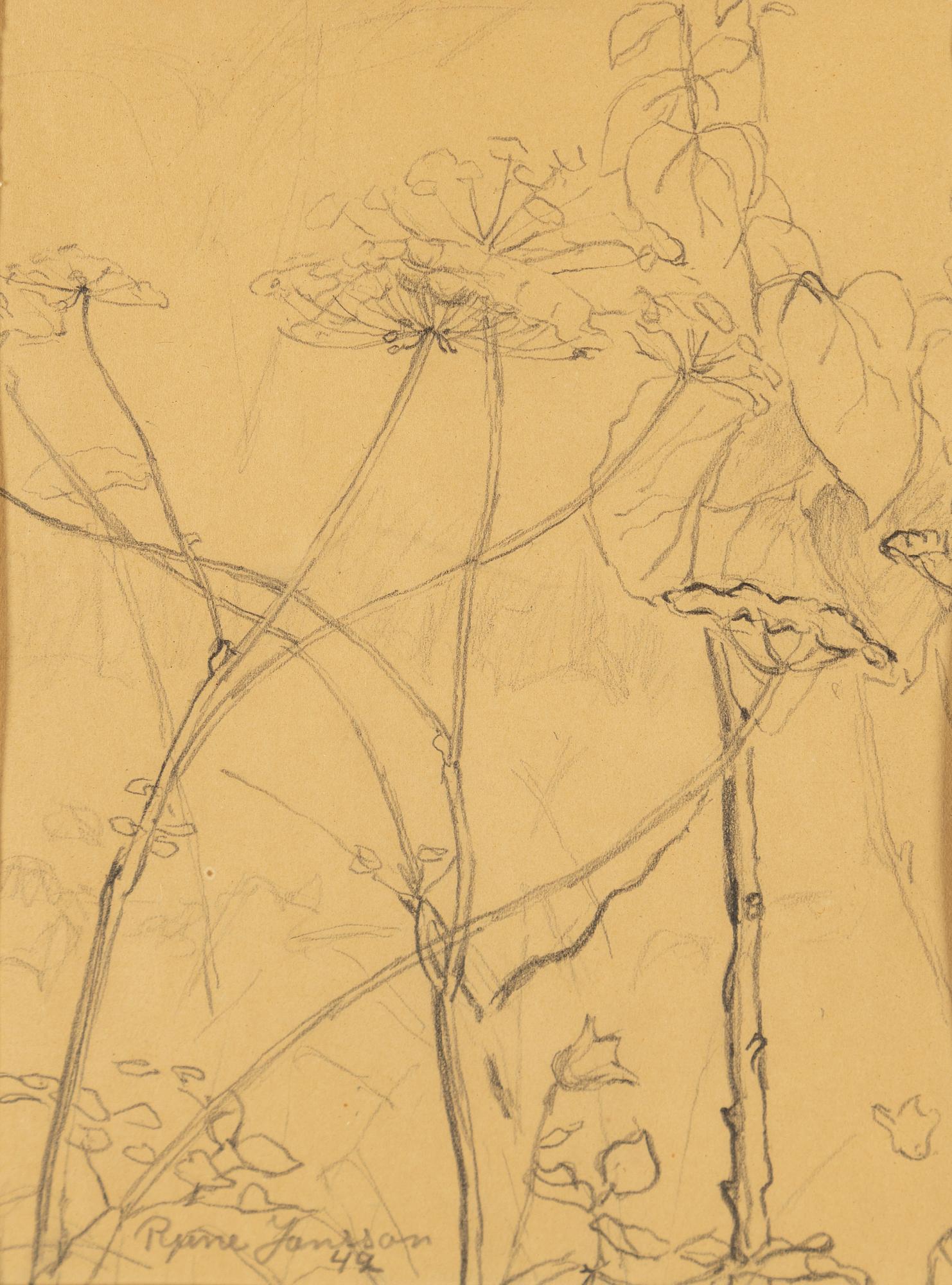 RUNE JANSSON, pencil on paper, signed and dated -42.