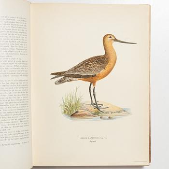Bröderna von Wright, bokverk, 3 band, "Svenska fåglar", A. Börtzells tryckeri AB, Stockholm, 1927-1929.