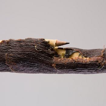 NIRAN BAIBULAT, "OKSA II".