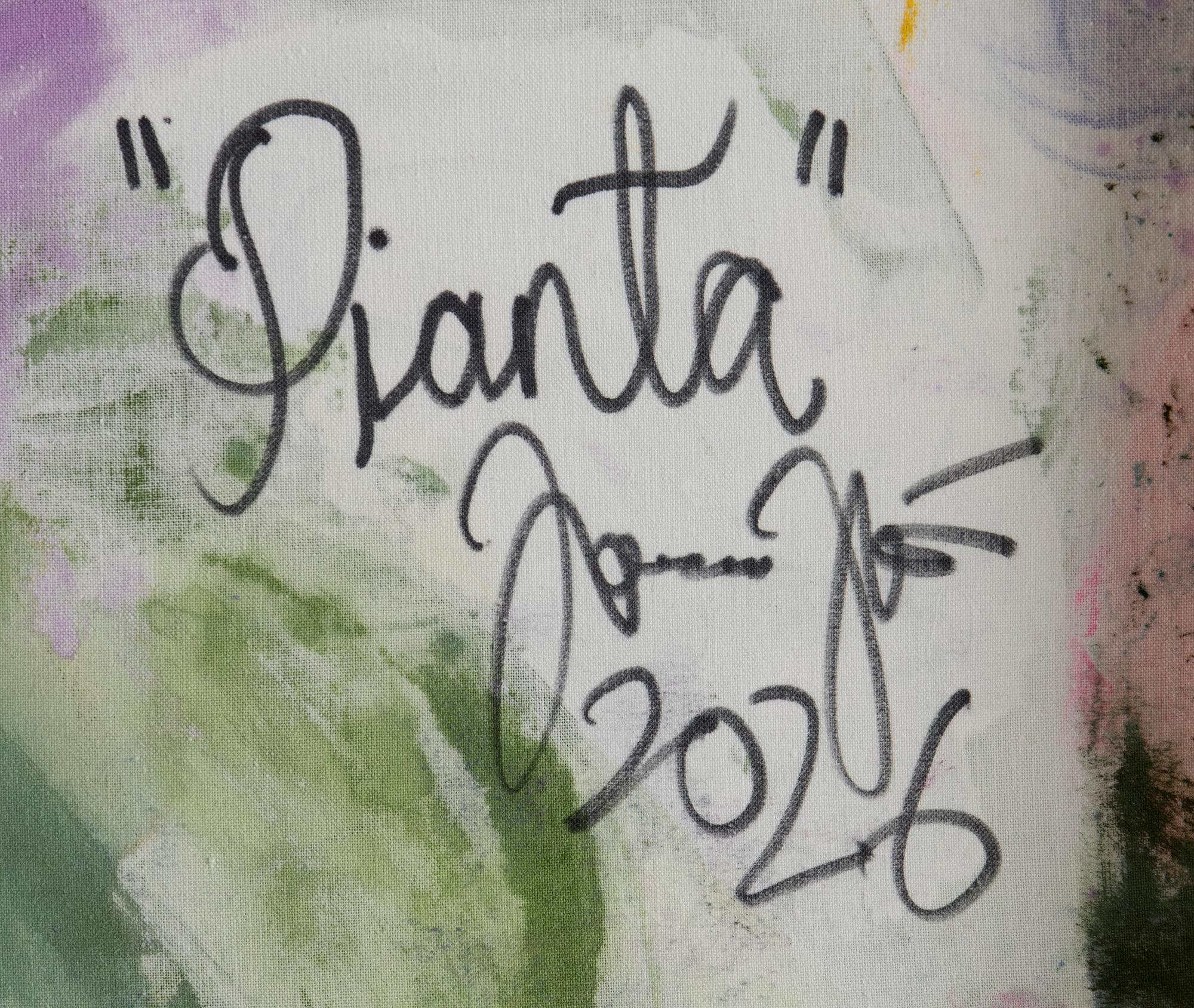 Joona Ijäs, "Pianta".