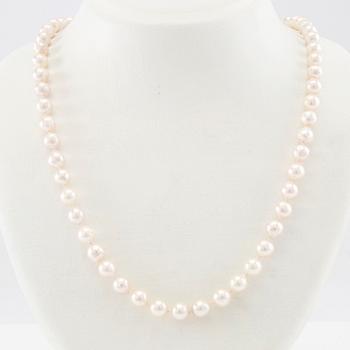 Necklace of cultured saltwater pearls with a clasp in 18K rose and white gold, as well as round brilliant-cut diamonds.