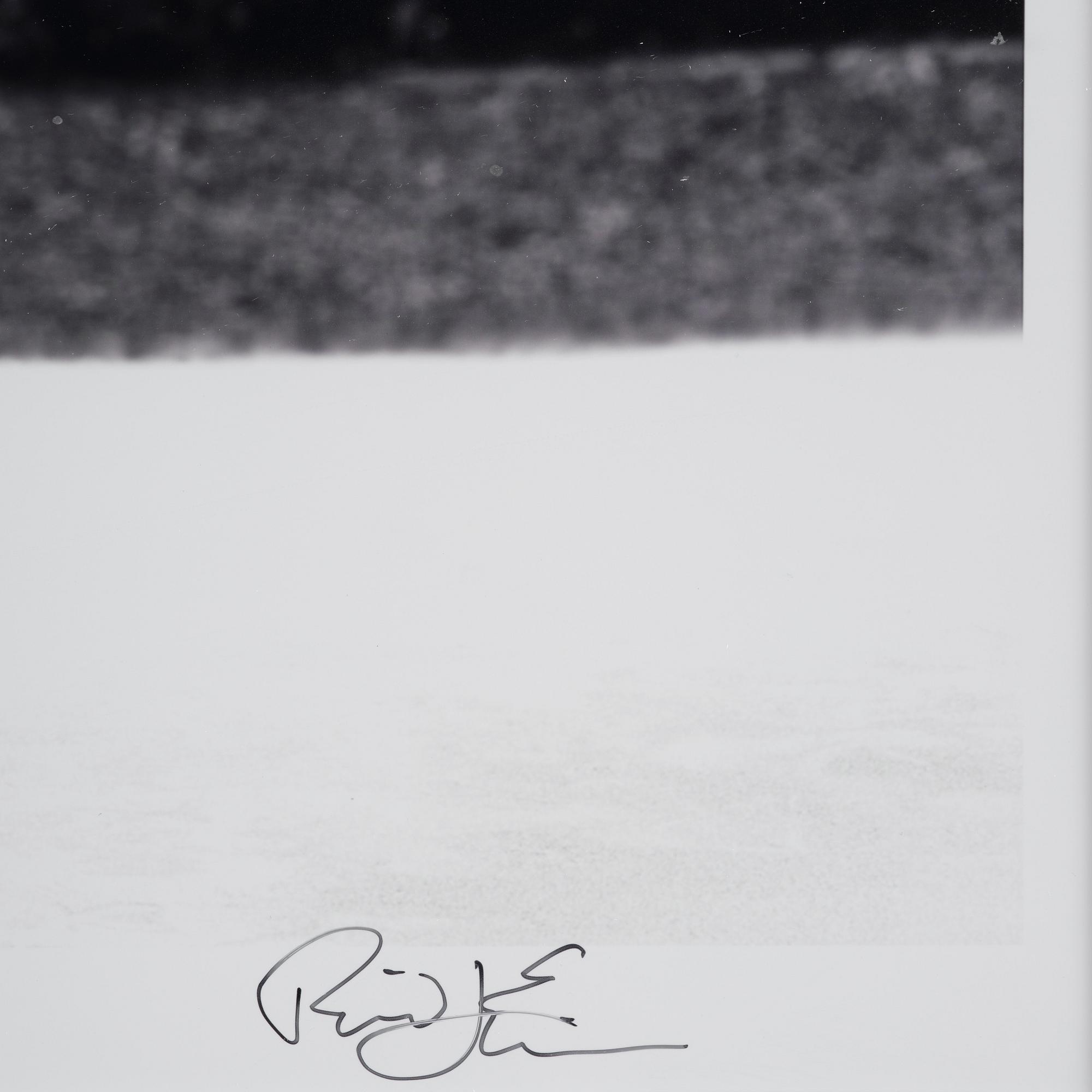 Rickard L Eriksson, "Kronprinsessan Victoria och Prins Daniel", 2010.