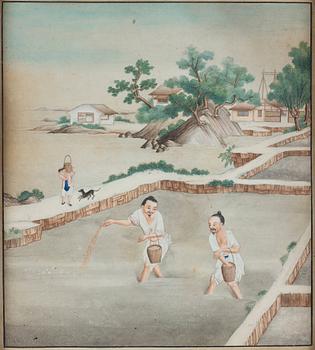 A set of four paintings by unknown Chinese artist, Qing dynasty, 19th Century.