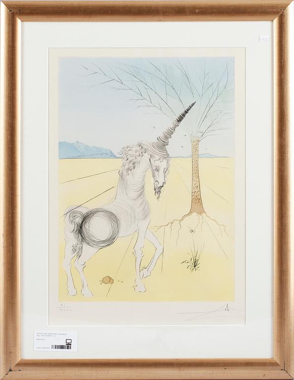 SALVADOR DALÍ, färglitografi. Sign. Numr XI/XXXV.