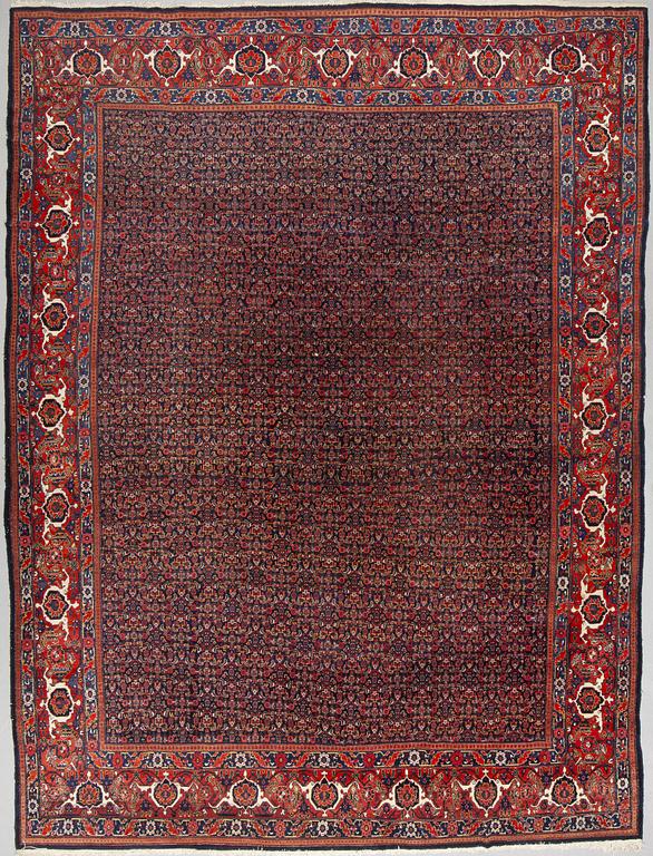 Carpet, Semi-antique Senneh, ca 455 x 342 cm.
