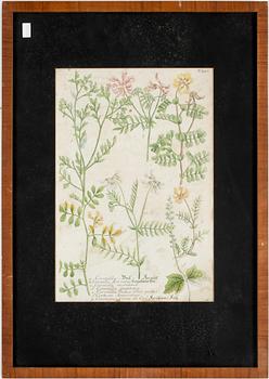 GRAVYRER, 6 st, handkolorerade, 1800-tal.