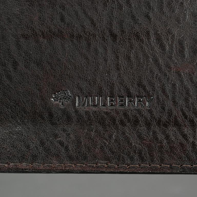 AGENDA, Mulberry.