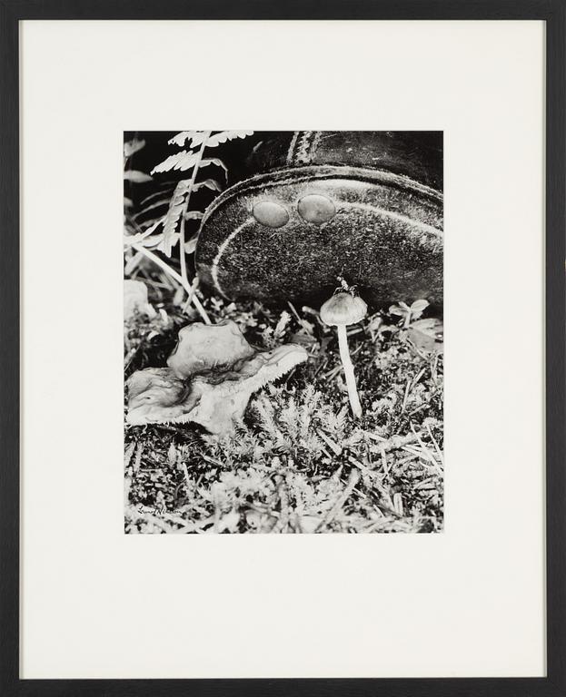 Lennart Nilsson, photograph, signed.
