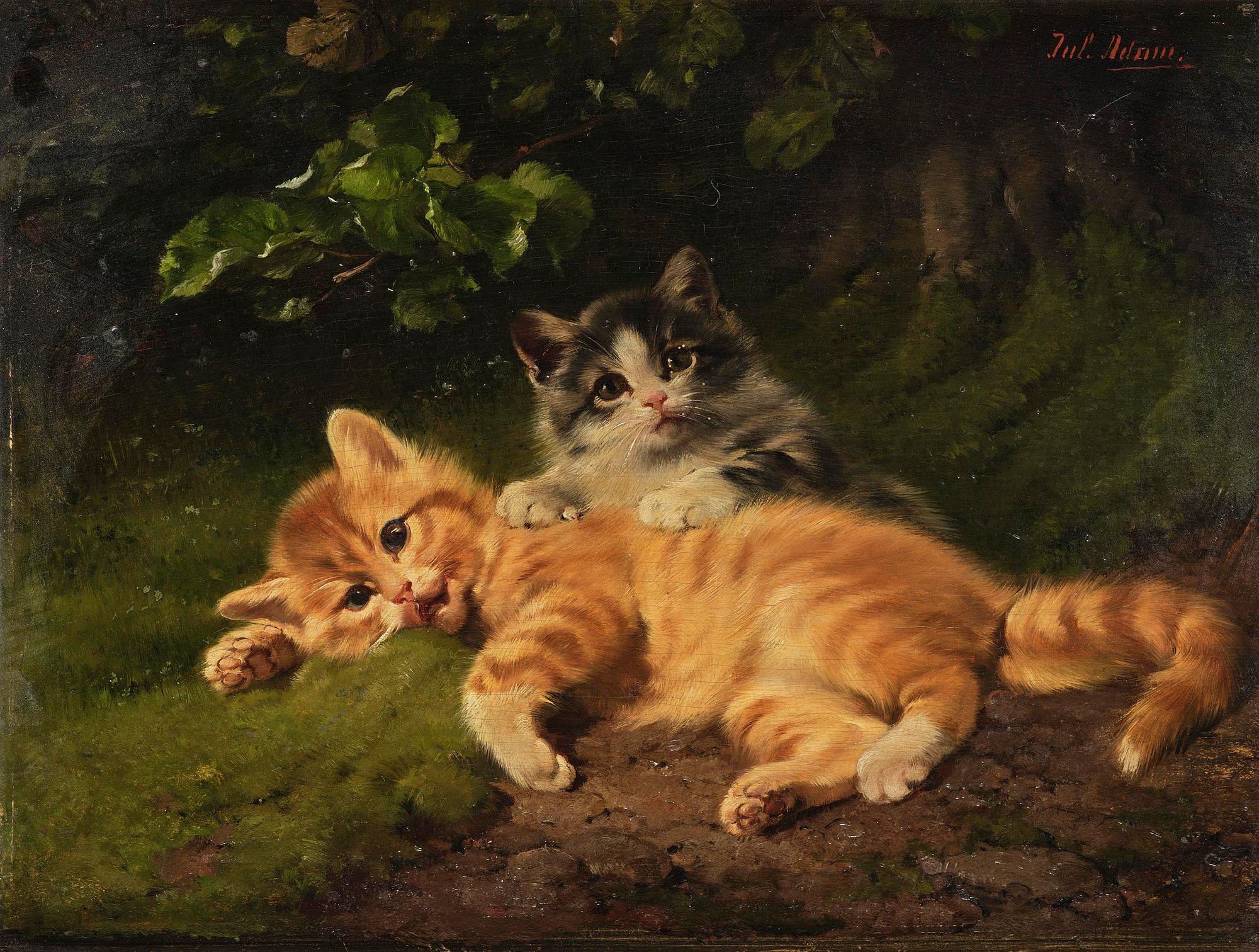 Julius II Adam, Kittens.