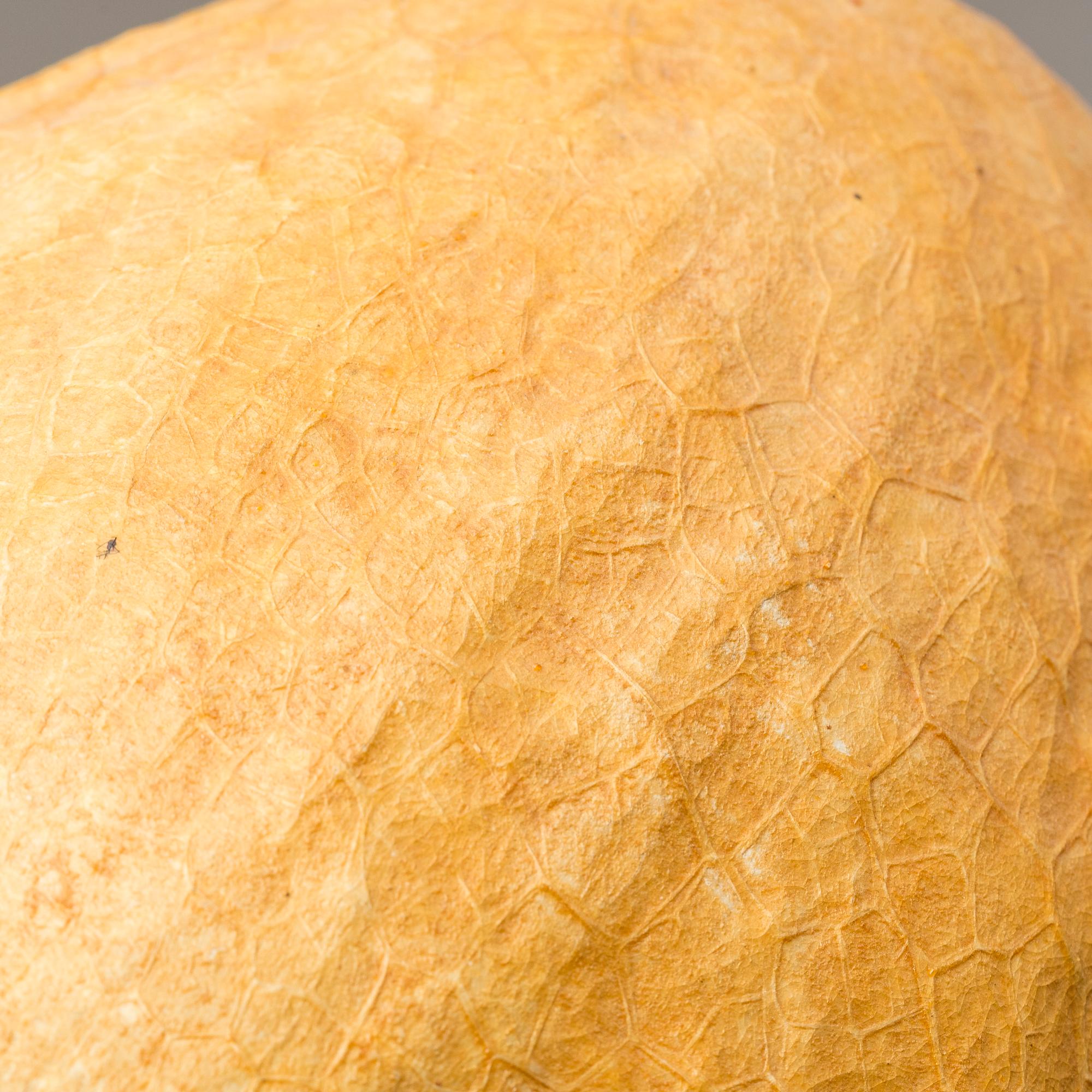 BORDSLAMPA, Knut Gustafsson, ren- och älghorn, signerad och daterad 1942.