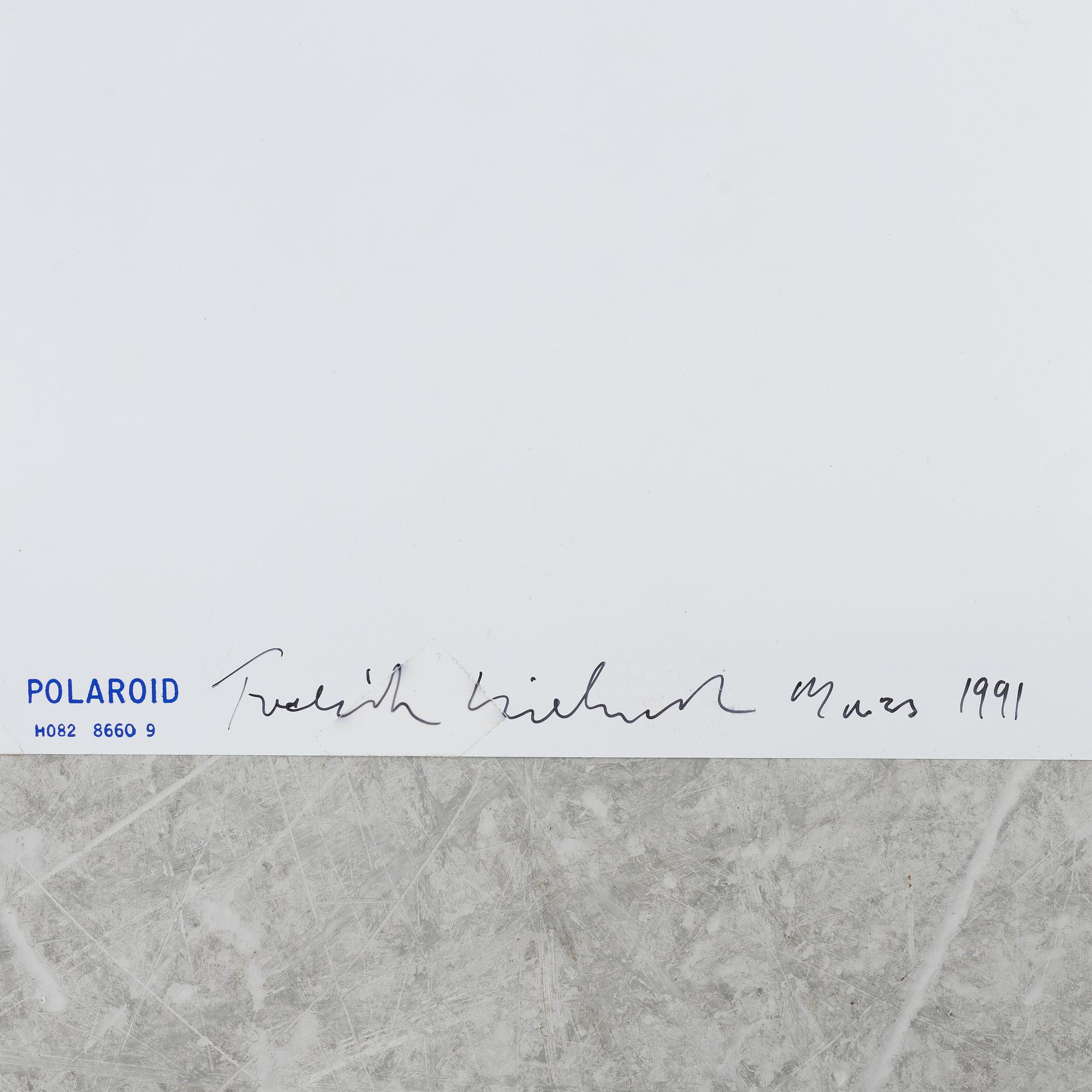 Carouschka Streijffert, skulptur, Prezzat, "Utan titel", 1991.