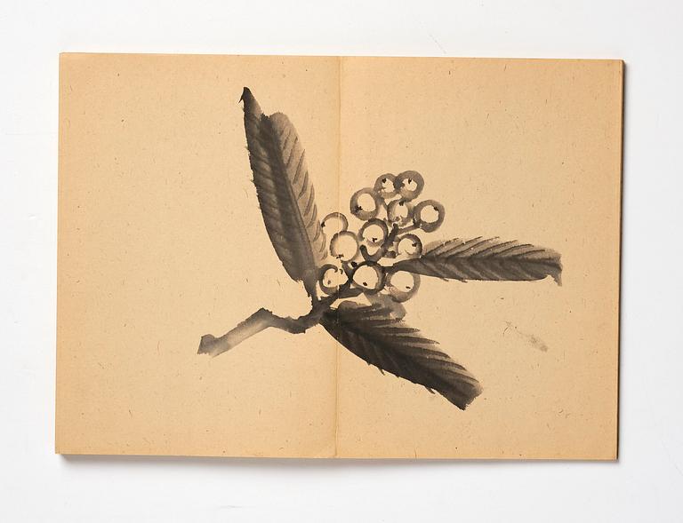 Two Chinese albums, one empty, early 20th century.