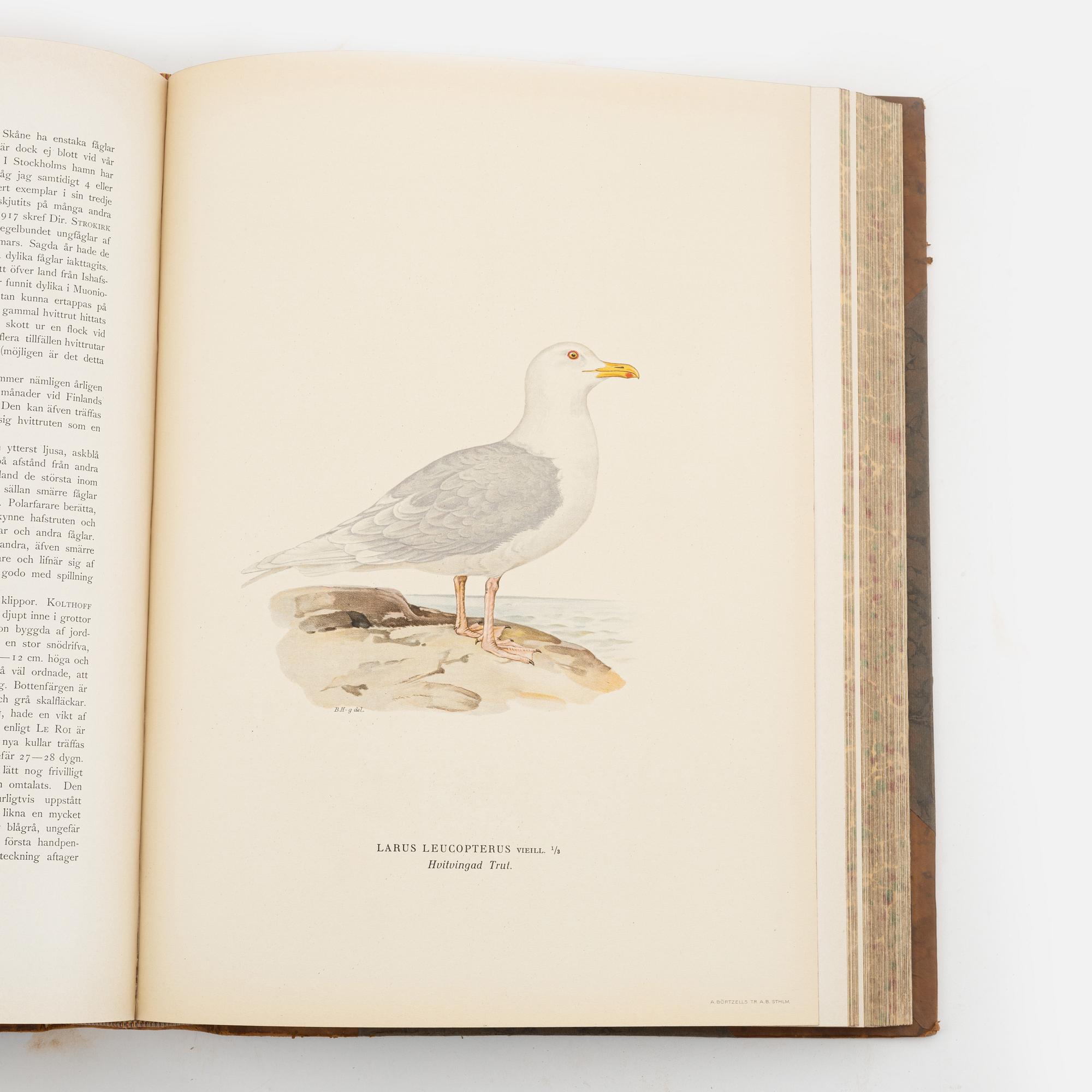 Three volumes of 'Svenska fåglar' by the von Wright brothers, printed at A.Börtsells Tryckeri AB, Stockholm, 1924-29.