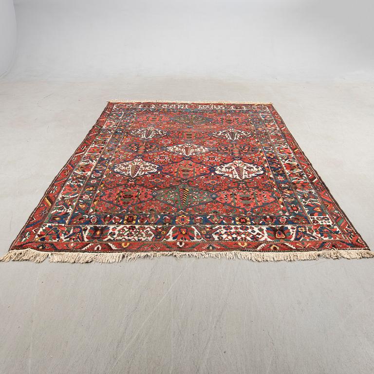 Rug, Baktiari, 305 x 220 cm.