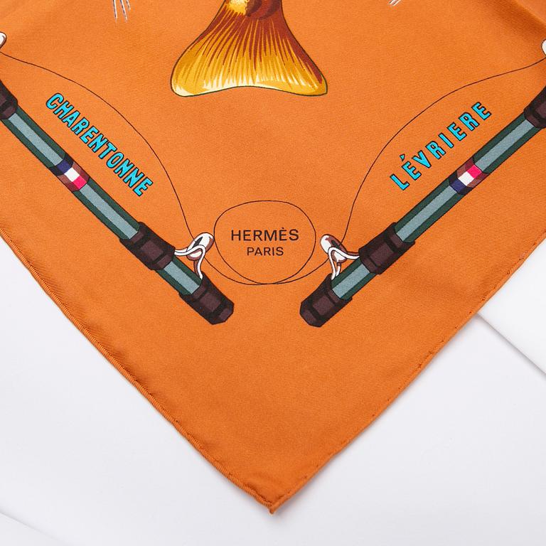 Hermès, Scarf, "The Trout".