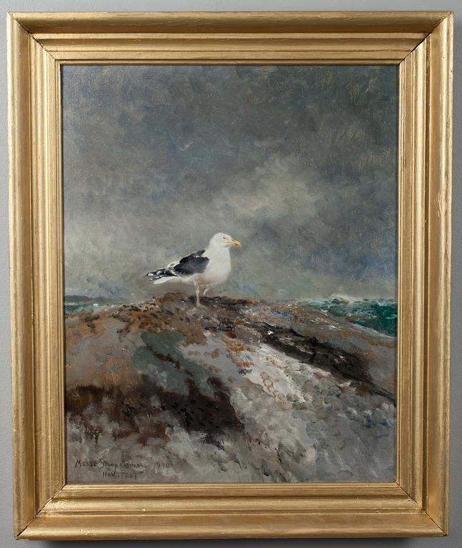Mosse Stoopendaal, BACKED GULL.
