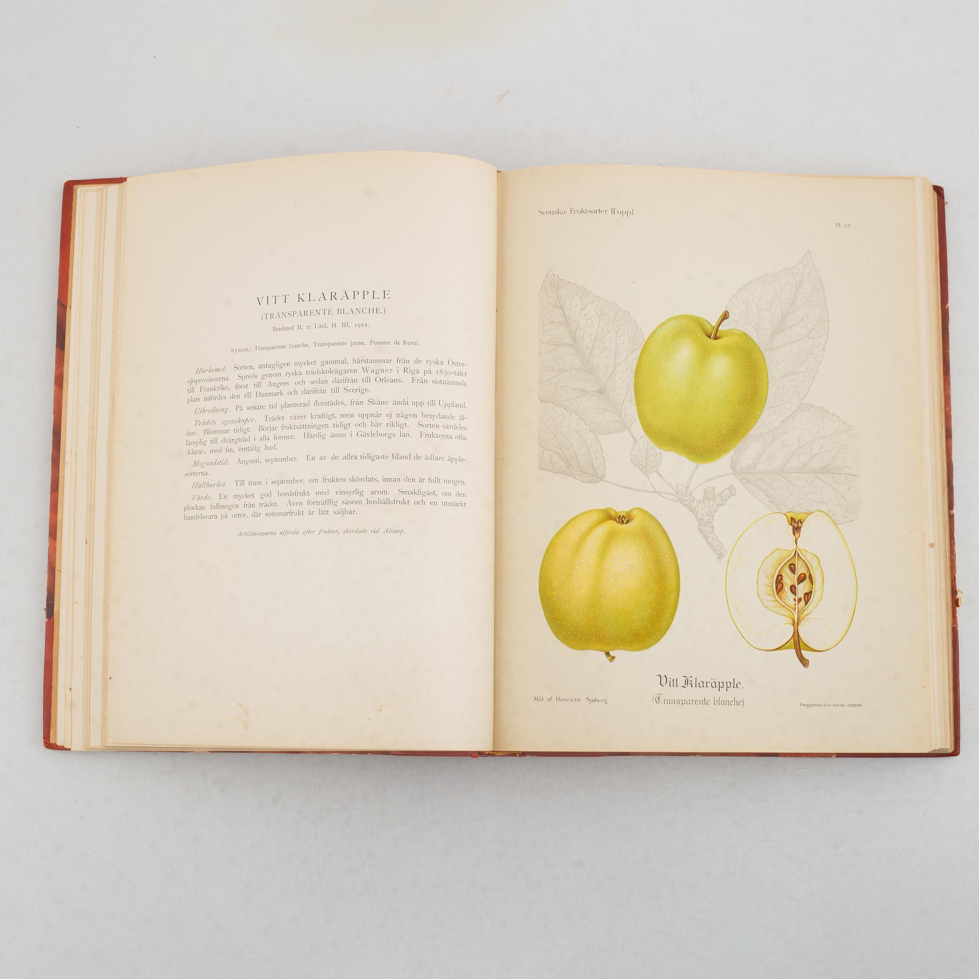 Axel Pihl & Jakob Eriksson, book, 'Svenska Fruktsorter', P.A. Norstedt & Söners Förlag, Stockholm 1924.