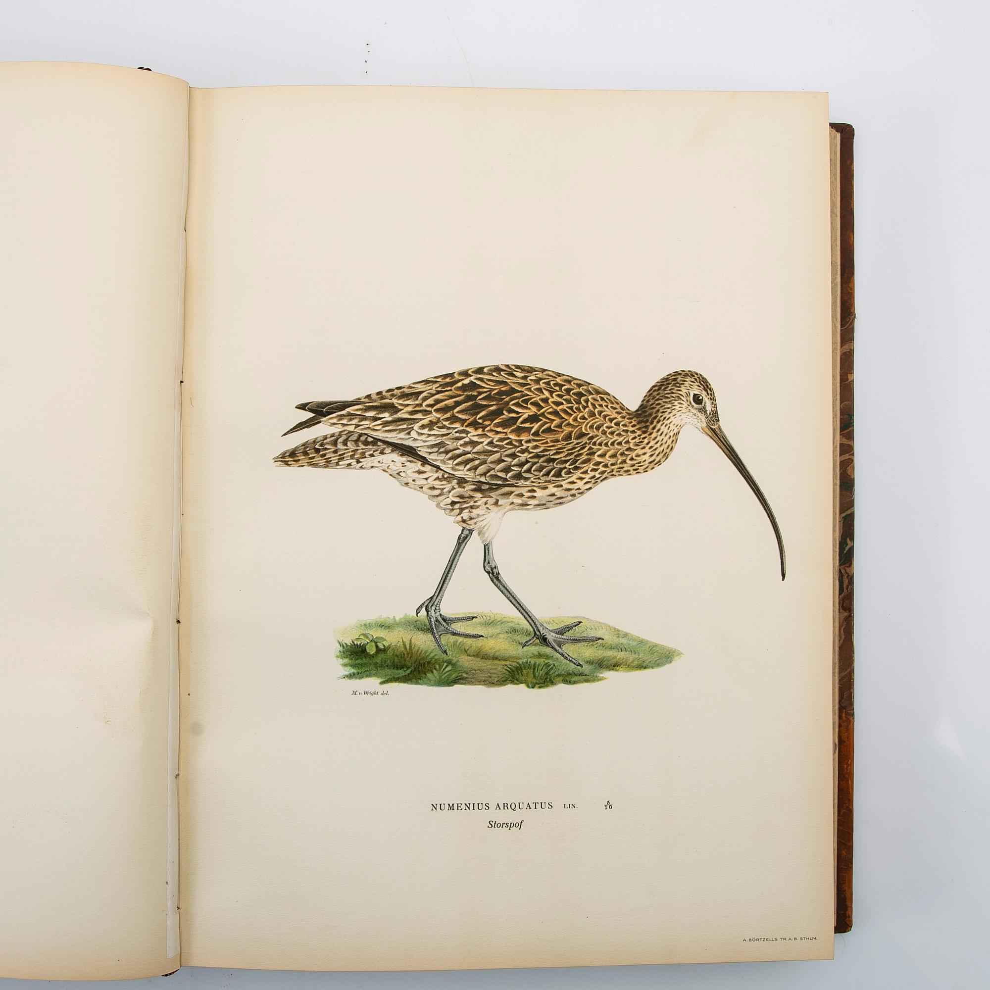 The Wright Brothers, book work, 3 volumes, "Swedish Birds", A. Börtzells tryckeri AB, Ivar Baarsen, Stockholm, 1924-1929.