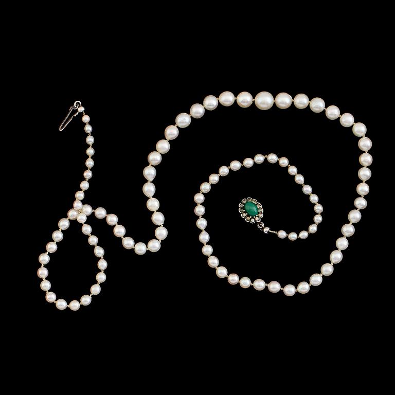 PÄRLCOLLIER, odlade doserade pärlor, silverlås.