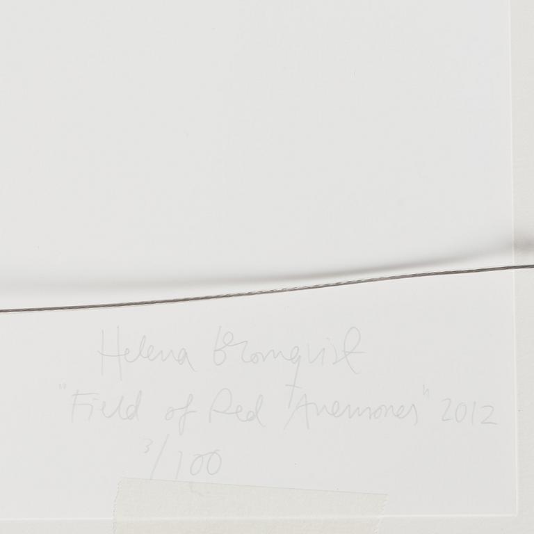 Helena Blomqvist, "Field of Red Anemones", 2012.