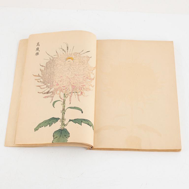 '100 chrysanthemum' 契花百菊, Hasegawa Keika 長谷川契華, volume III, Japan 1893.