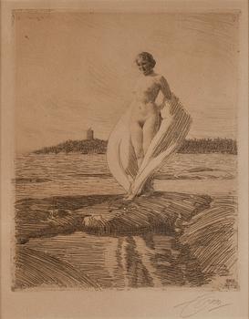 495. Anders Zorn, "Svanen".